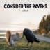 Consider the Ravens